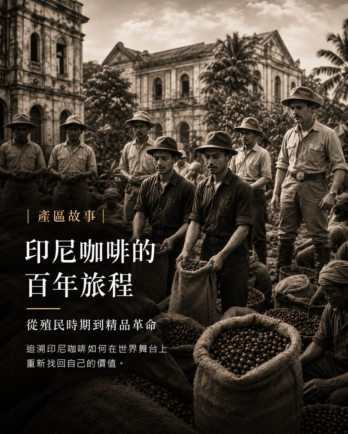 咖啡貿易與香料之路