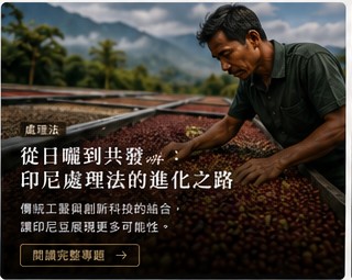 濕剝法為何如此特別?
